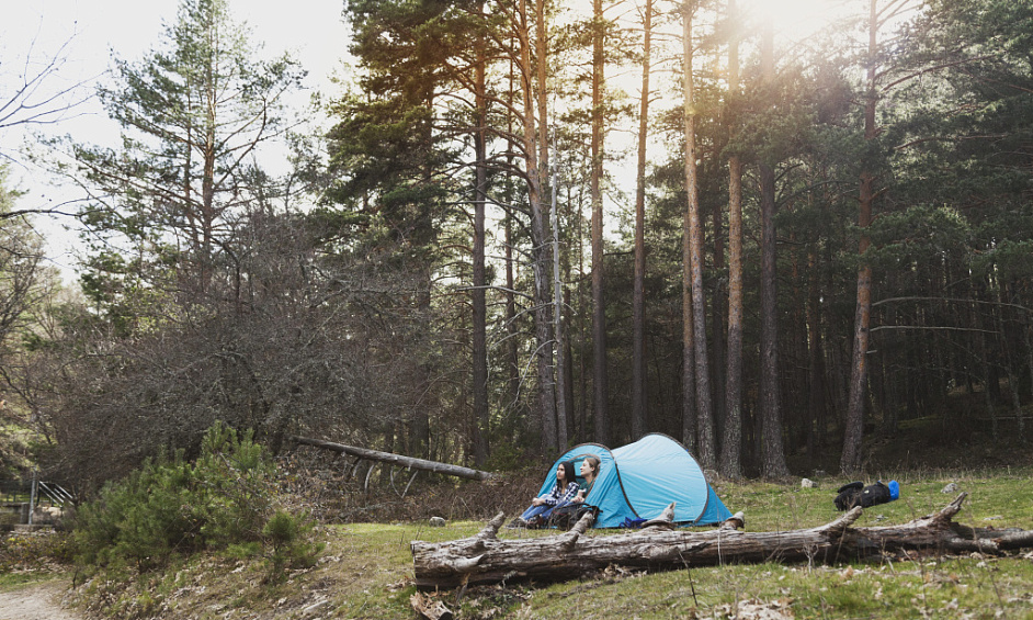 Camping with Chalets & Restaurant on the shore of a lake 1