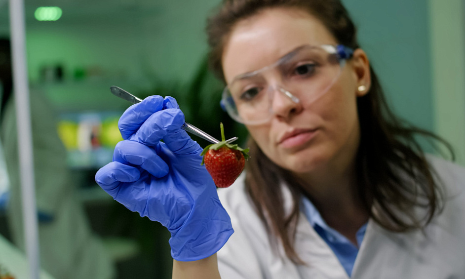 AV food laboratory Venissieux free zone 1