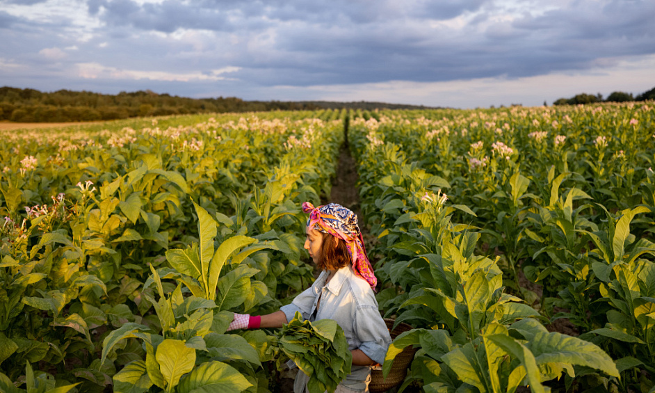 Selling tobacco business (FDC) with development potential in Isère 1