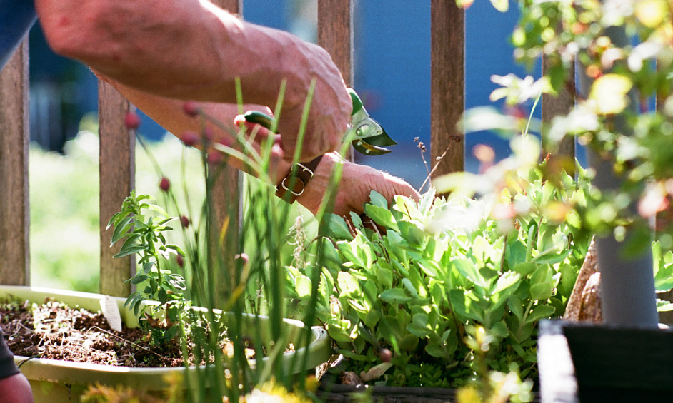 Horticultural business with florist shop 1