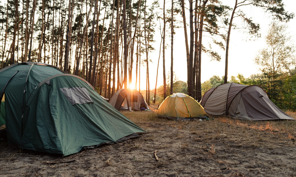Sale: 3 *** campsite in the Mâconnais region 1